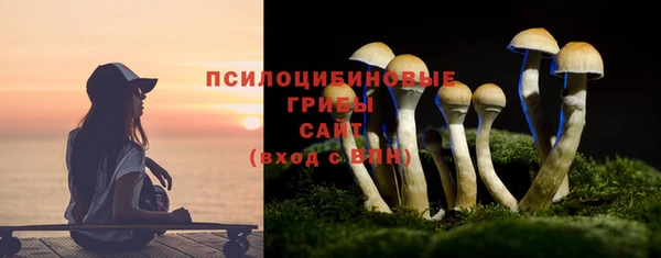 круглые Ладушкин