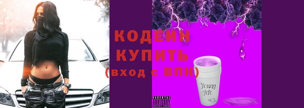 дмт Лабытнанги