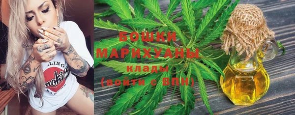 дмт Лабытнанги